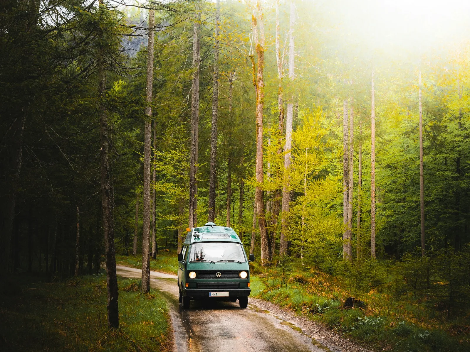 Camper van driving down a forest dirt road